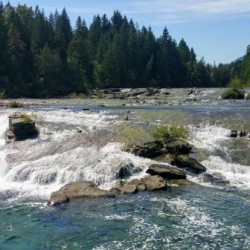 Nymph Falls 2018
